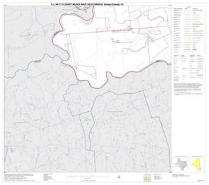 P.L. 94-171 County Block Map (2010 Census): Brazos County, Block 17