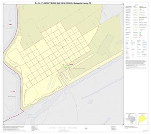 P.L. 94-171 County Block Map (2010 Census): Matagorda County, Inset I01
