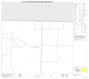 Primary view of object titled 'P.L. 94-171 County Block Map (2010 Census): Dallam County, Block 5'.