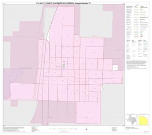 P.L. 94-171 County Block Map (2010 Census): Grayson County, Inset O01