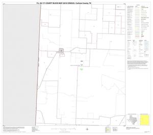 Primary view of object titled 'P.L. 94-171 County Block Map (2010 Census): Cochran County, Block 4'.