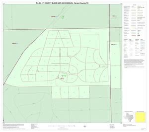 P.L. 94-171 County Block Map (2010 Census): Tarrant County, Inset H01