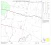 Map: P.L. 94-171 County Block Map (2010 Census): Bexar County, Block 45
