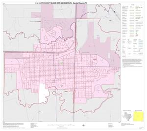 Primary view of object titled 'P.L. 94-171 County Block Map (2010 Census): Randall County, Inset E01'.