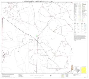 Primary view of object titled 'P.L. 94-171 County Block Map (2010 Census): Upton County, Block 8'.