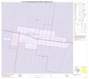 P.L. 94-171 County Block Map (2010 Census): Hidalgo County, Inset S01