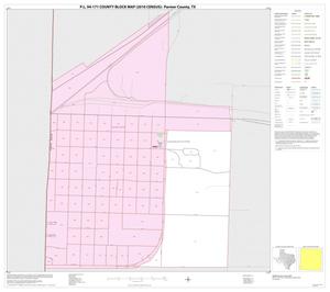 Primary view of object titled 'P.L. 94-171 County Block Map (2010 Census): Parmer County, Inset C01'.