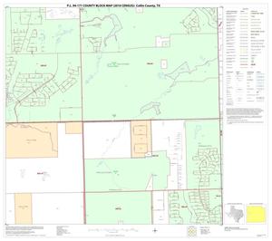 Primary view of object titled 'P.L. 94-171 County Block Map (2010 Census): Collin County, Block 41'.