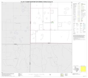 Primary view of object titled 'P.L. 94-171 County Block Map (2010 Census): Ochiltree County, Block 13'.