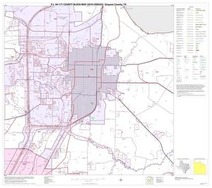 Primary view of object titled 'P.L. 94-171 County Block Map (2010 Census): Grayson County, Block 10'.