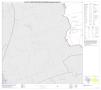 Primary view of P.L. 94-171 County Block Map (2010 Census): Burleson County, Block 10