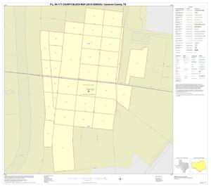 P.L. 94-171 County Block Map (2010 Census): Cameron County, Inset D01