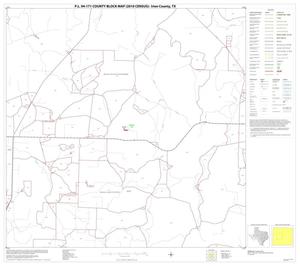 Primary view of object titled 'P.L. 94-171 County Block Map (2010 Census): Irion County, Block 6'.