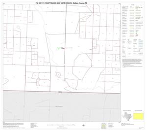 Primary view of object titled 'P.L. 94-171 County Block Map (2010 Census): Dallam County, Block 20'.