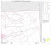 Thumbnail image of item number 1 in: 'P.L. 94-171 County Block Map (2010 Census): Somervell County, Block 3'.