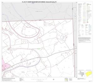 P.L. 94-171 County Block Map (2010 Census): Somervell County, Block 3