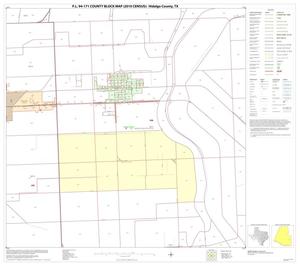 P.L. 94-171 County Block Map (2010 Census): Hidalgo County, Block 80