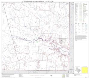 Primary view of object titled 'P.L. 94-171 County Block Map (2010 Census): Borden County, Block 4'.