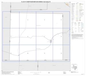 Primary view of object titled 'P.L. 94-171 County Block Map (2010 Census): Irion County, Index'.