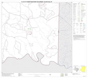 Primary view of object titled 'P.L. 94-171 County Block Map (2010 Census): Terrell County, Block 20'.