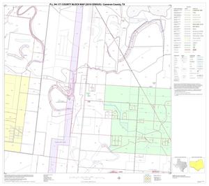 P.L. 94-171 County Block Map (2010 Census): Cameron County, Block 35