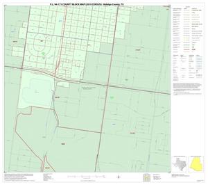 P.L. 94-171 County Block Map (2010 Census): Hidalgo County, Inset G02