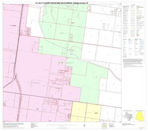 P.L. 94-171 County Block Map (2010 Census): Hidalgo County, Block 65