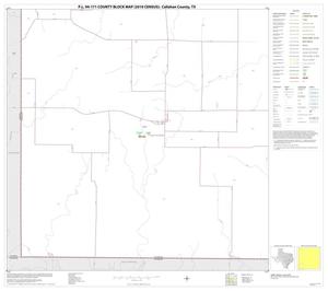 Primary view of object titled 'P.L. 94-171 County Block Map (2010 Census): Callahan County, Block 13'.