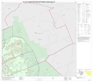 P.L. 94-171 County Block Map (2010 Census): Webb County, Inset C02