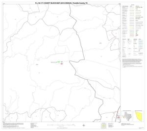 P.L. 94-171 County Block Map (2010 Census): Presidio County, Block 35