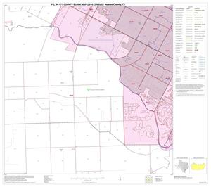 P.L. 94-171 County Block Map (2010 Census): Nueces County, Block 25