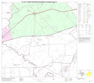 P.L. 94-171 County Block Map (2010 Census): Guadalupe County, Block 11