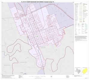 P.L. 94-171 County Block Map (2010 Census): Gonzales County, Inset C01