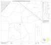 Primary view of P.L. 94-171 County Block Map (2010 Census): Pecos County, Block 13