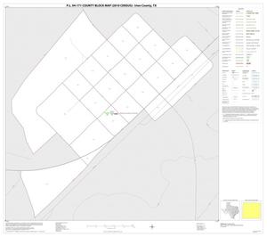 Primary view of object titled 'P.L. 94-171 County Block Map (2010 Census): Irion County, Inset C01'.