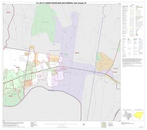 P.L. 94-171 County Block Map (2010 Census): Starr County, Inset B02