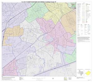 P.L. 94-171 County Block Map (2010 Census): Guadalupe County, Block 13