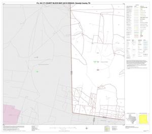 Primary view of object titled 'P.L. 94-171 County Block Map (2010 Census): Kenedy County, Block 21'.