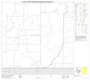 P.L. 94-171 County Block Map (2010 Census): Cottle County, Block 14