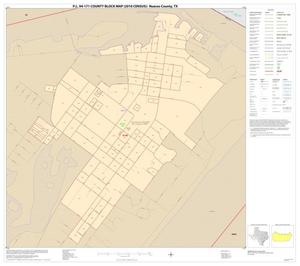 P.L. 94-171 County Block Map (2010 Census): Nueces County, Inset C01