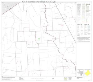 Primary view of object titled 'P.L. 94-171 County Block Map (2010 Census): Wharton County, Block 14'.