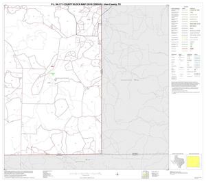 Primary view of object titled 'P.L. 94-171 County Block Map (2010 Census): Irion County, Block 12'.