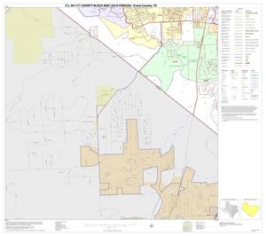 Primary view of object titled 'P.L. 94-171 County Block Map (2010 Census): Travis County, Block 45'.