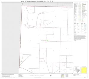 Primary view of object titled 'P.L. 94-171 County Block Map (2010 Census): Yoakum County, Block 1'.