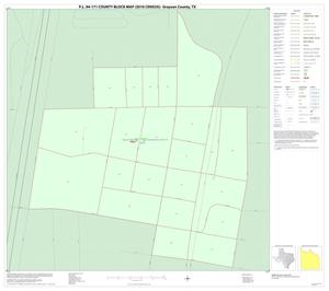 P.L. 94-171 County Block Map (2010 Census): Grayson County, Inset P01