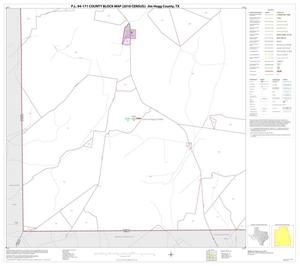 P.L. 94-171 County Block Map (2010 Census): Jim Hogg County, Block 19