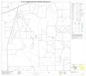 P.L. 94-171 County Block Map (2010 Census): Webb County, Block 39