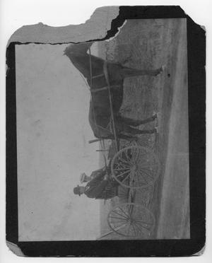 [Couple in horse buggy]