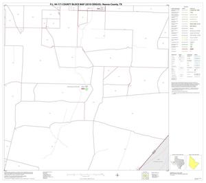 P.L. 94-171 County Block Map (2010 Census): Reeves County, Block 40