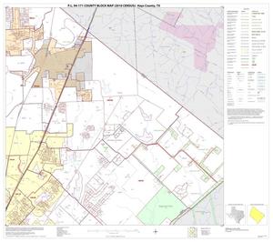 Primary view of object titled 'P.L. 94-171 County Block Map (2010 Census): Hays County, Block 10'.
